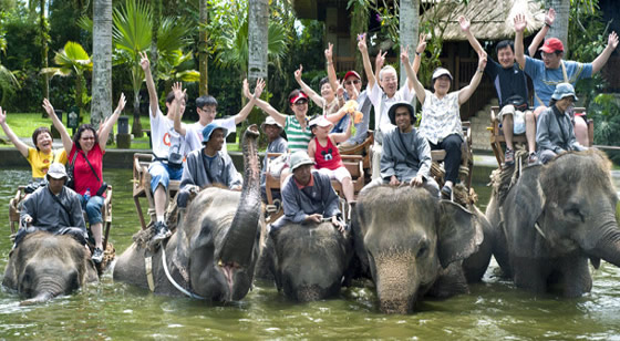 Things to do in Bali is Bali Safari & Marine Park 5