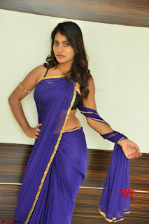 Actress Priya in Blue Saree and Sleevelss Choli at Javed Habib Salon launch ~  Exclusive Galleries 007