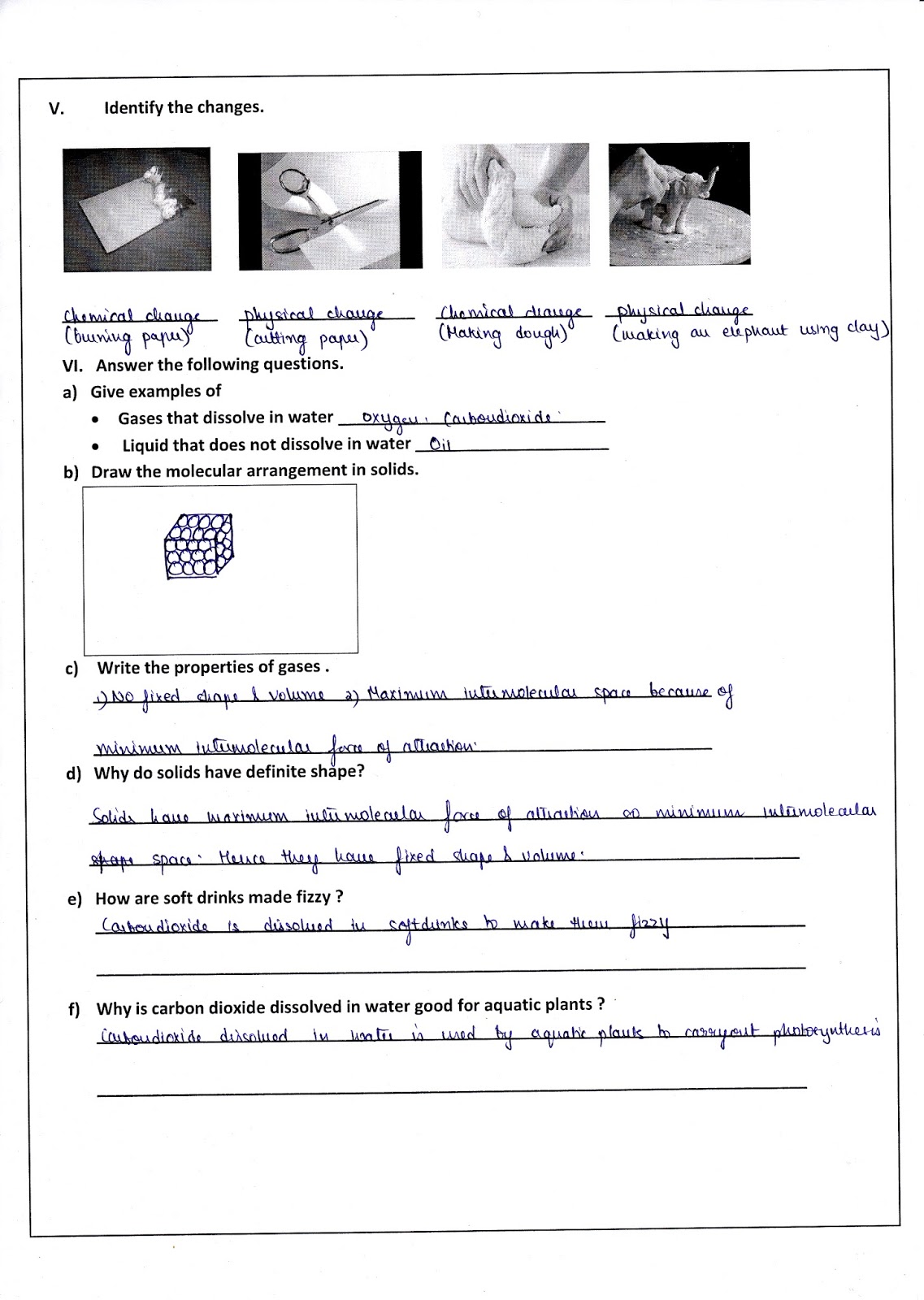 Science@DPSkamal: Grade 5 - Answer Key of all Revision Worksheets