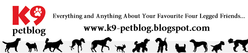 K9 PetBlog