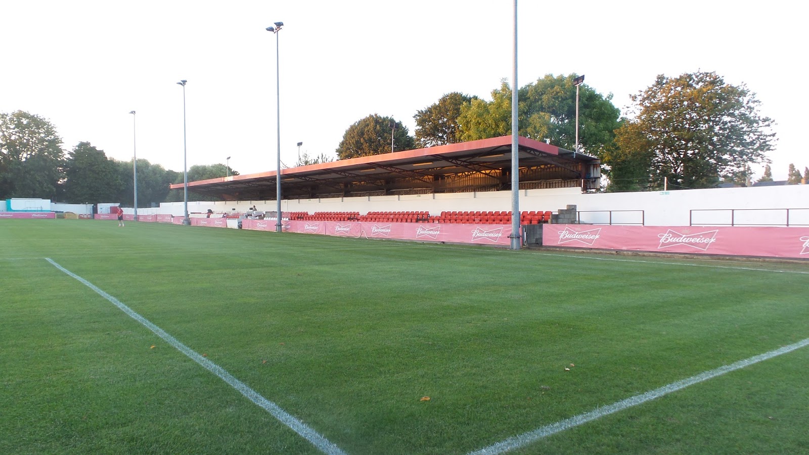 The Wanderer Wembley Vale Farm