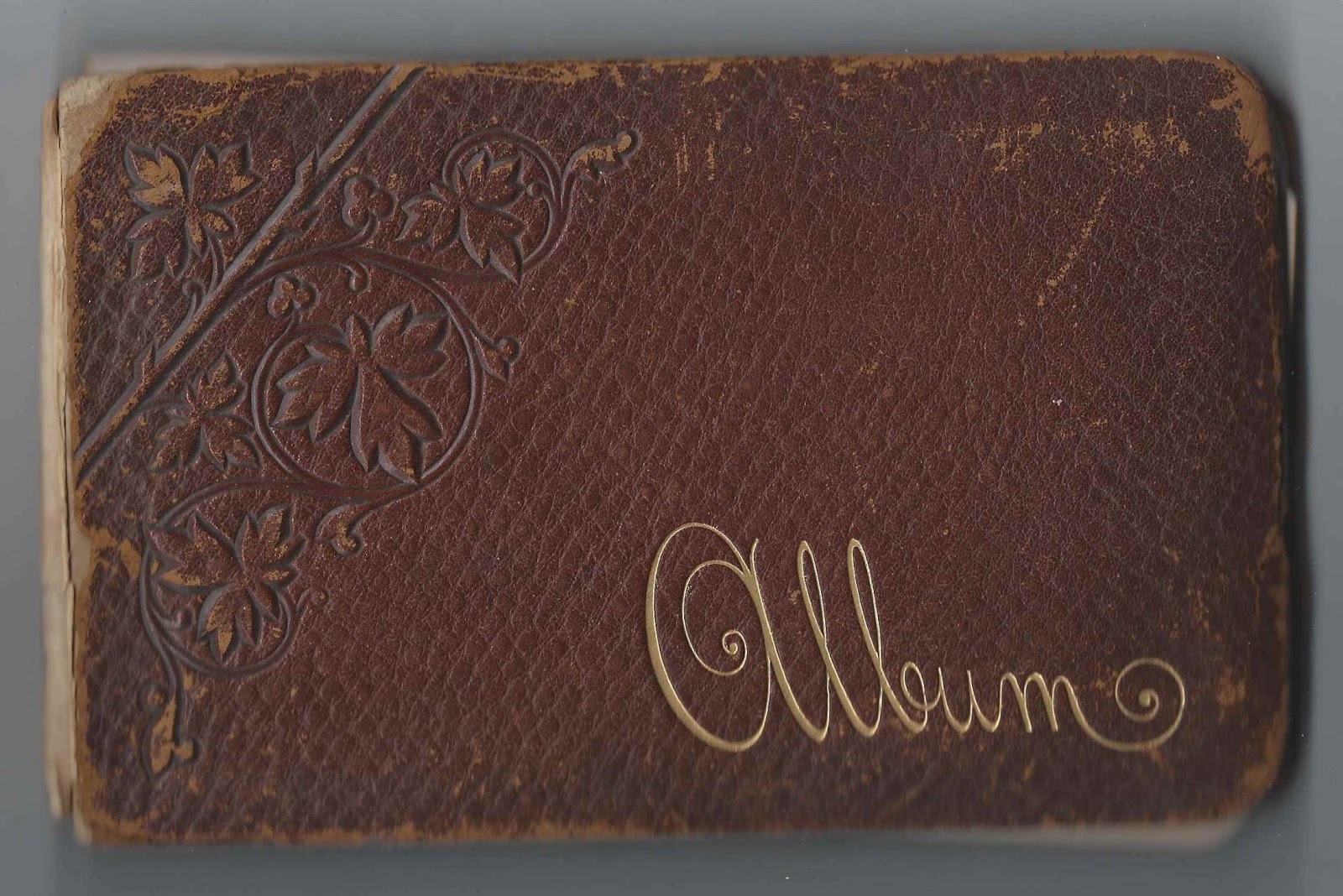 Heirlooms Reunited 1890s Autograph Album of Student at East Vassalboro