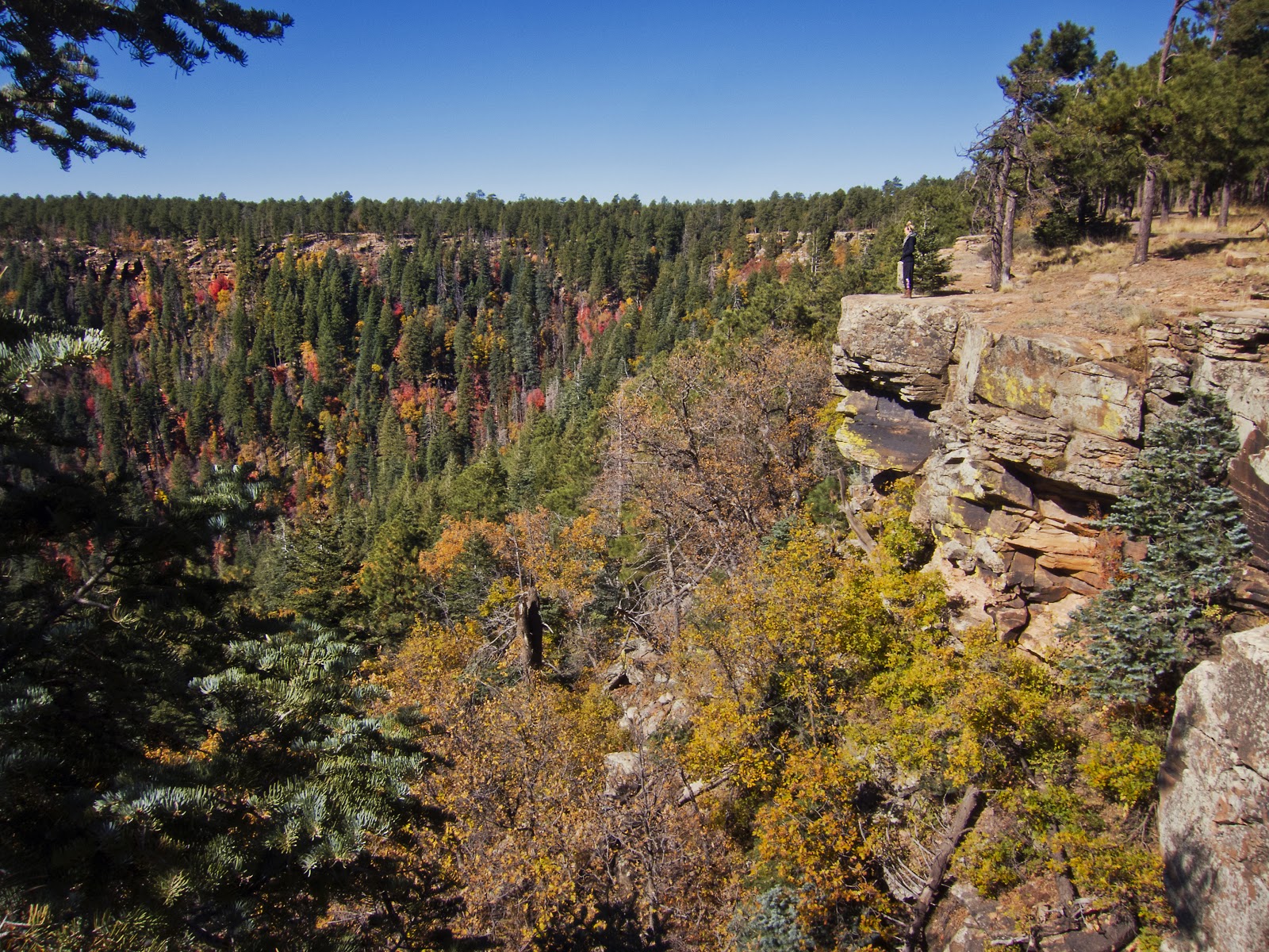 Made To Create Mogollon Rim