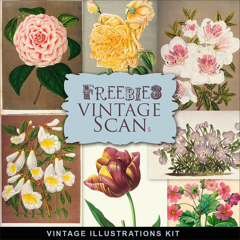 Freebies Vintage Flowers Illustrations:Far Far Hill - Free database of ...