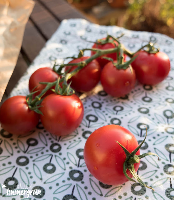 Fräulein Immergrün: Küchensonntag: Sommerliche Tomatentarte