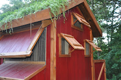 coop inside chicken chickens windows roosting coops peek roost bar space shelter houses per idea venting far birds bird community