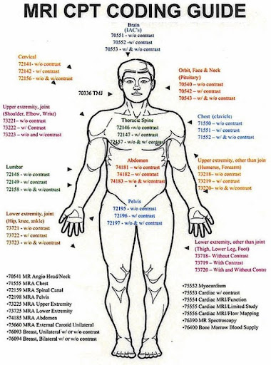 Pet Scan Whole Body Cpt Code 2020 Https Www Centrelakeimaging Com pet-scan-whole-body-cpt-code-2020-https-www-centrelakeimaging-com