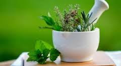 OBAT TRADISIONAL SANGAT AMPUH ATASI LECET DI BIBIR VAGINA OBAT TRADISIONAL SANGAT AMPUH ATASI LECET DI BIBIR VAGINA