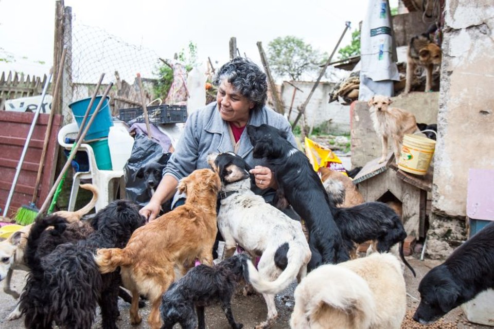 Maria Cristina Gomes começou a recolher cães da rua há dez anos: “Não tenho medo, pego até sarna deles”