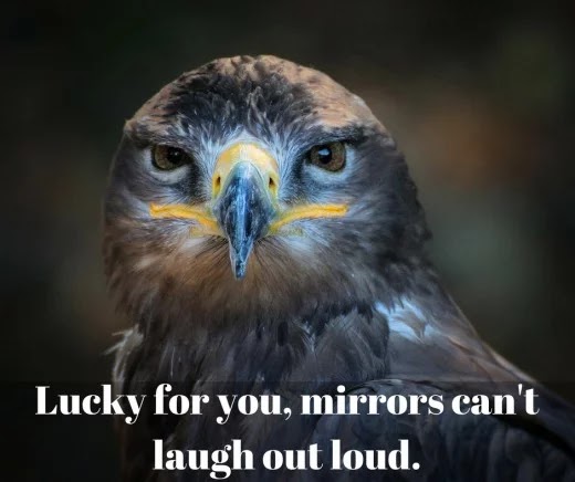 81 Best Facebook posts and status updates - Emotional, Funny, Sarcastic