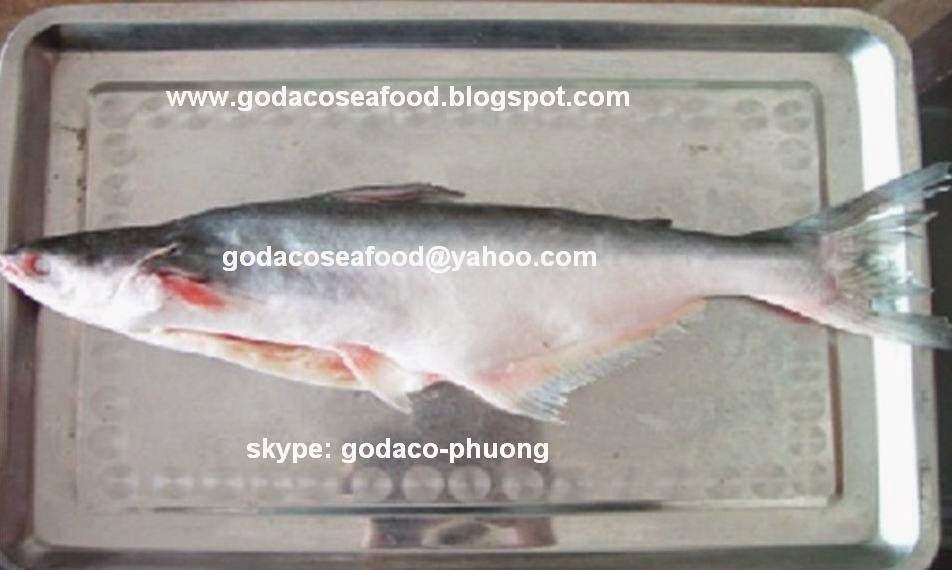 Whole Gutted Basa / Whole Gutted Pangasius