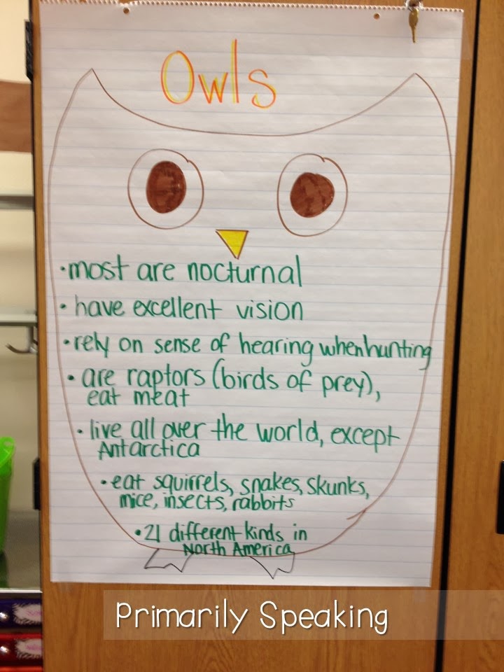 Whoooo Loves Owls? | Primarily Speaking
