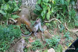 curug nangka bogor