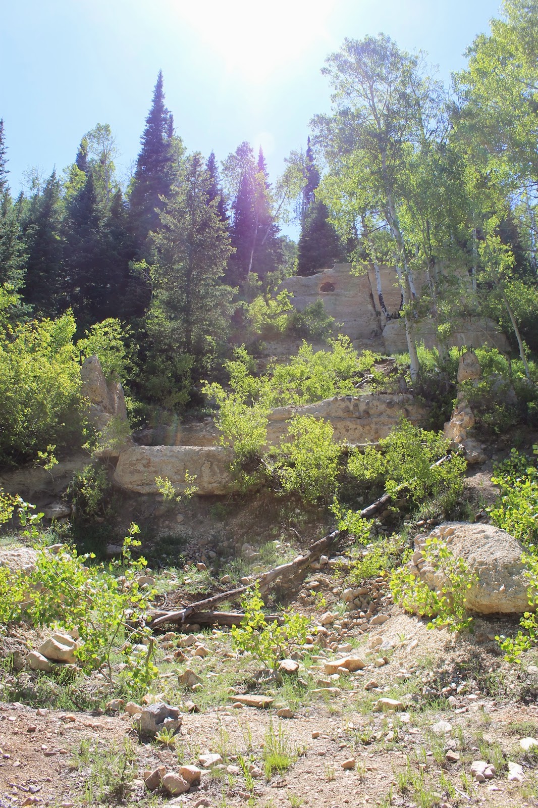 My Ghost Town Tour Forest City, Utah County part 1