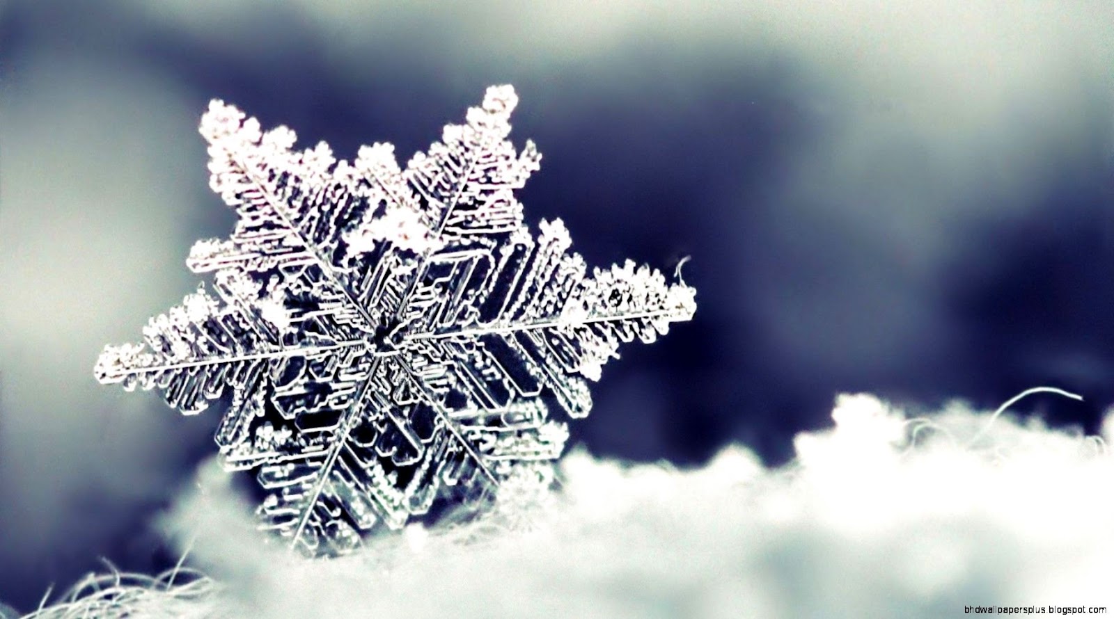 Winter Snowflakes Desktop