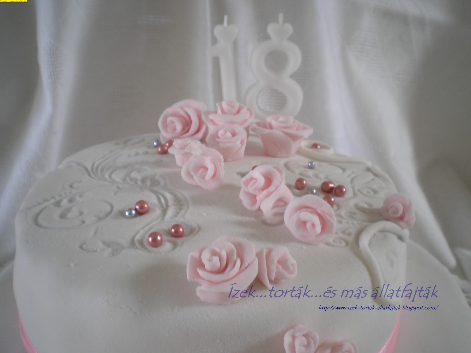 zek-tort-k-s-m-s-llatfajt-k-feh-rcsokis-epres-sz-let-snapi-torta