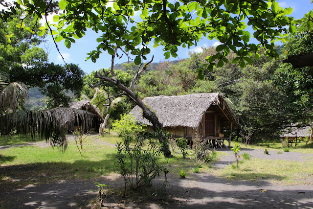 2016090183tanna.JPG