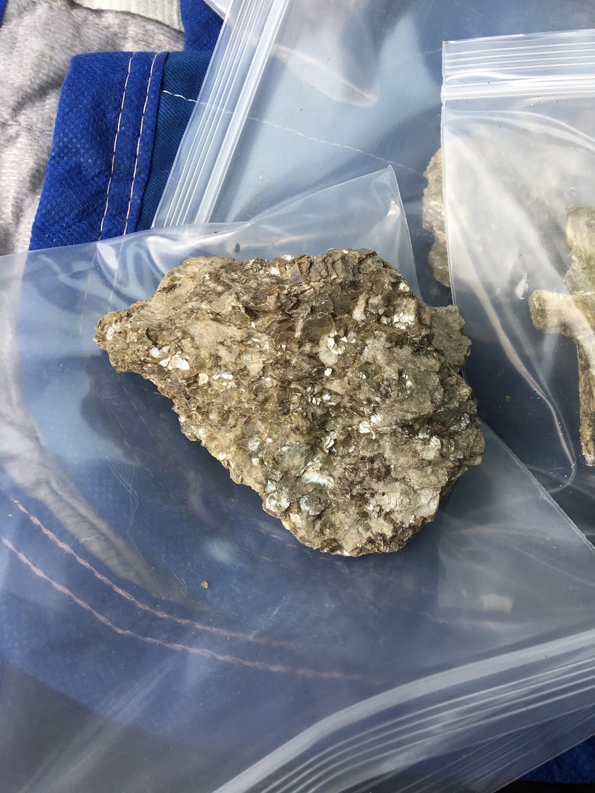 Stephanie Rockhound Extraordinaire C K WIlliams Quarry Field Trip