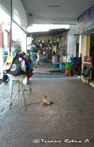 Menyusuri Jalan Cibadak Bandung Menyusuri Jalan Cibadak Bandung