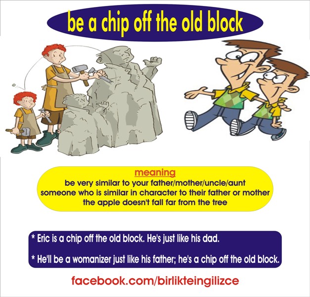 Don't say very. The very meaning. Идиома as cheap. Speak the truth книга. Irish phrases.