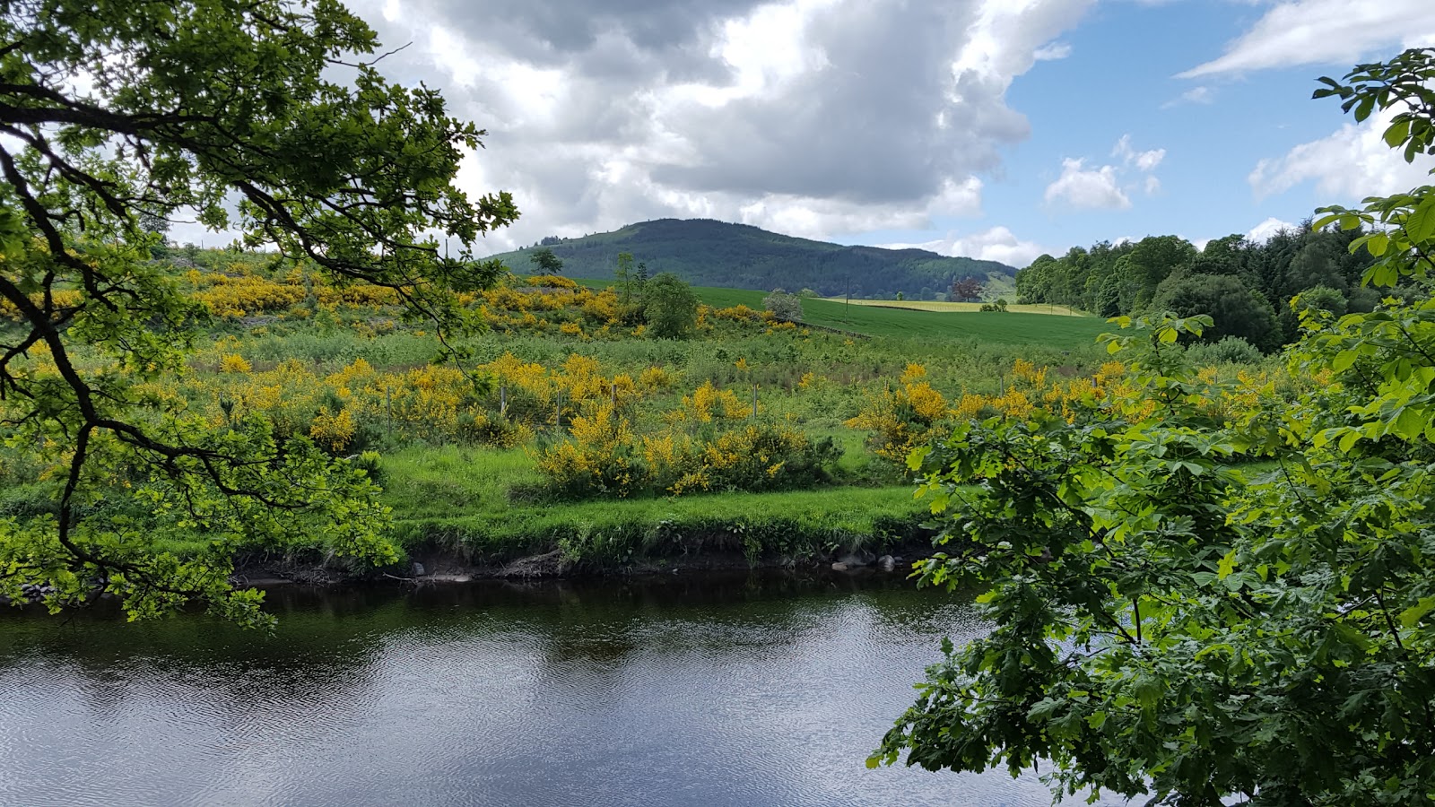 Neil's Hillwalking Exploits Crieff Laggan Hill and Tom a'Chasteil and