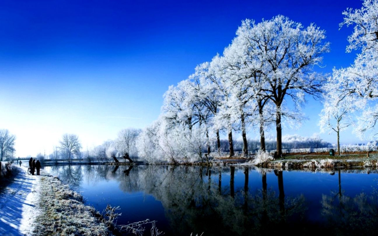 Winter For Windows 8 desktop wallpaper 1440x900   LandscapesOther