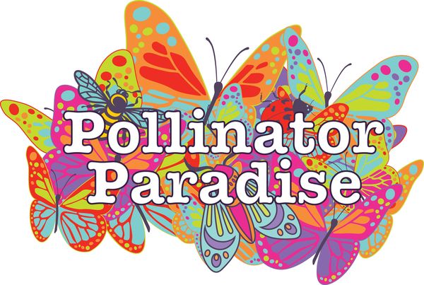 Pollinator Paradise Tooting