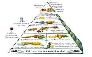 BodyMOT Education The New Food Pyramid... (designed in 2008)