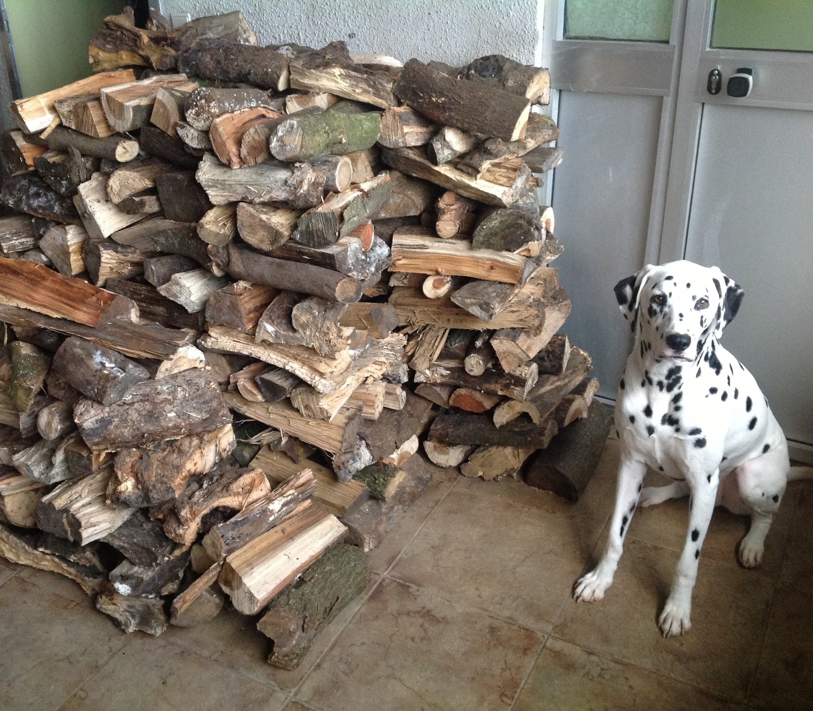 Lessons Learned This Week About Fireplaces, Reeds, and Tires