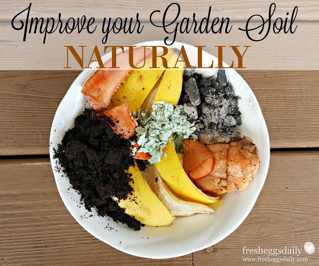 7 Ways to Improve your Garden Soil Naturally Fresh Eggs Daily® with