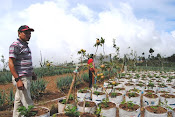 Kebun Apel Bantaeng