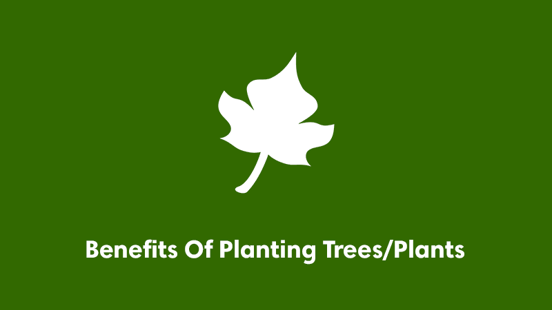 Benefits Of Planting Trees/Plants