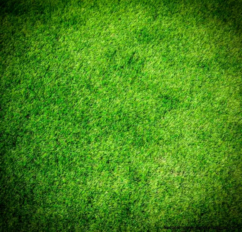 Green Grass Wallpaper   Android Apps on Google Play