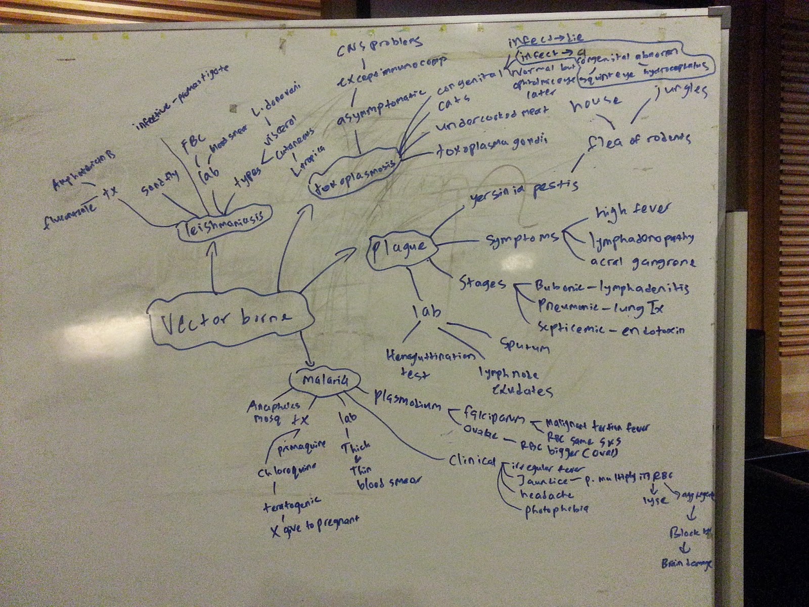 Medical Concept maps : Infectious Diseases