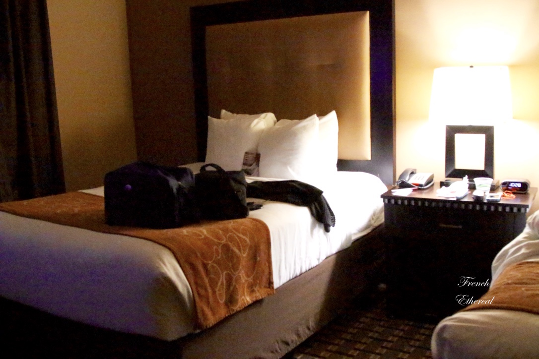 French Ethereal Traveling With Disabilities Comfort Suites In