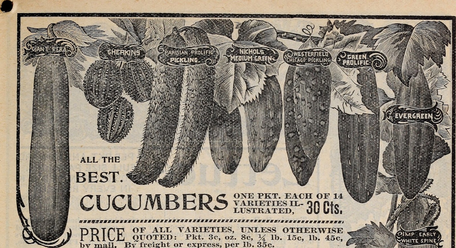 A Taste of History with Joyce White Cucumber Ketchup, a 19th Century