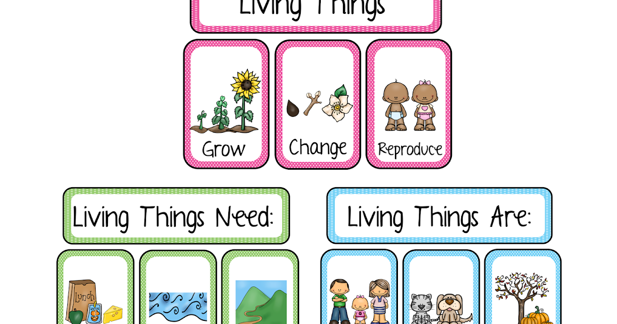 What are Living Things? Living Things vs. Nonliving Things