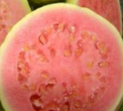 Guava fruit - Rich In Fiber