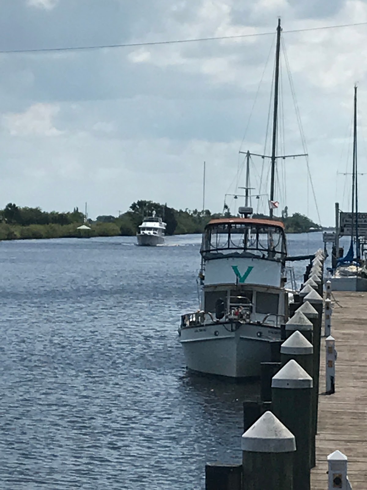 Viridian News & Views More Moore Haven