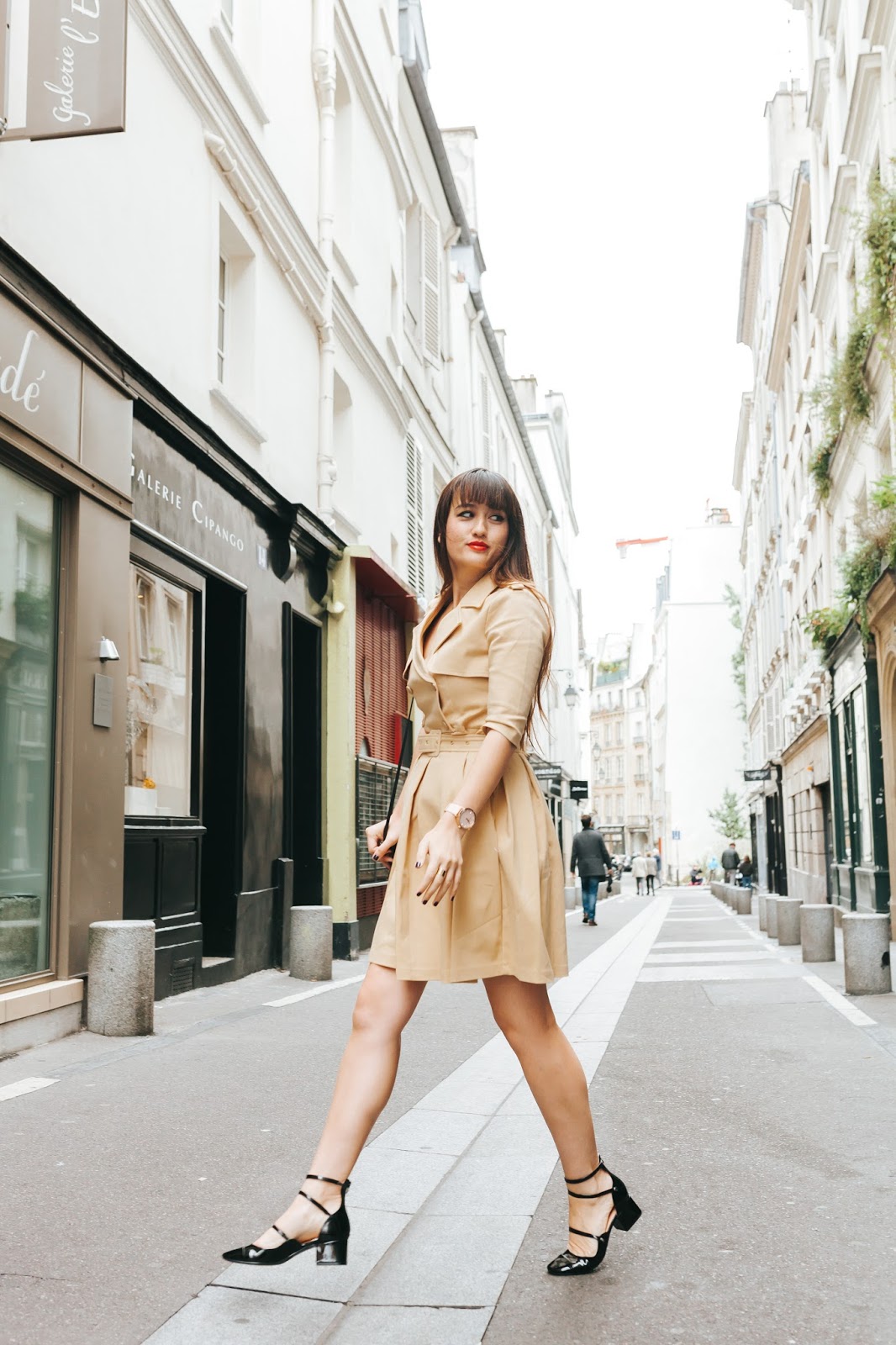 parisian fashion blogger, look, style, mode, chic, trench dress, chic wish, meetmeinparee