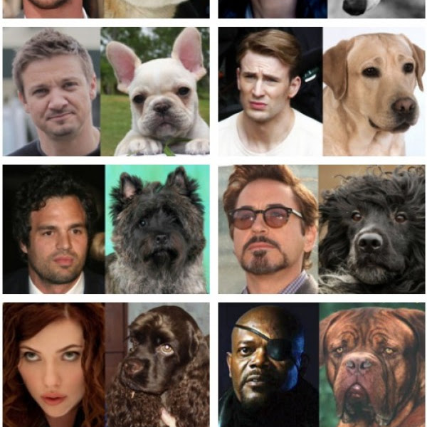 Photo : 「アベンジャーズ」がもしも、犬だったなら…? !