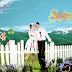 China Wedding Photos Editing PSD Templates With Background