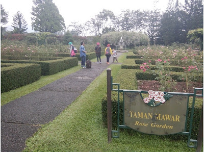 taman mawar Taman Bunga Nusantara