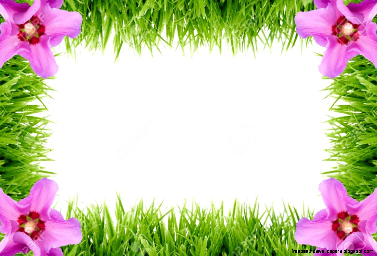 Natural Frame Made Out Of Grass With Hibiscus Flowers In The