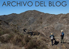 Archivo del Blog