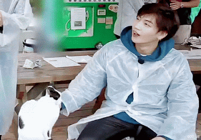 1501268752.gif