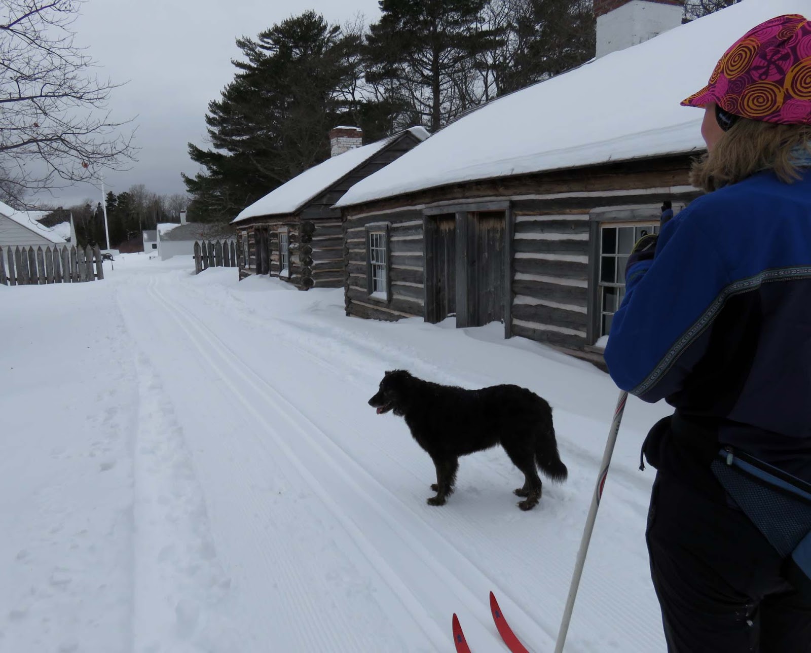 The Trail Mutt Reports Copper Harbor ski adventures!