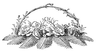 botanical artwork flower rose fern image illustration