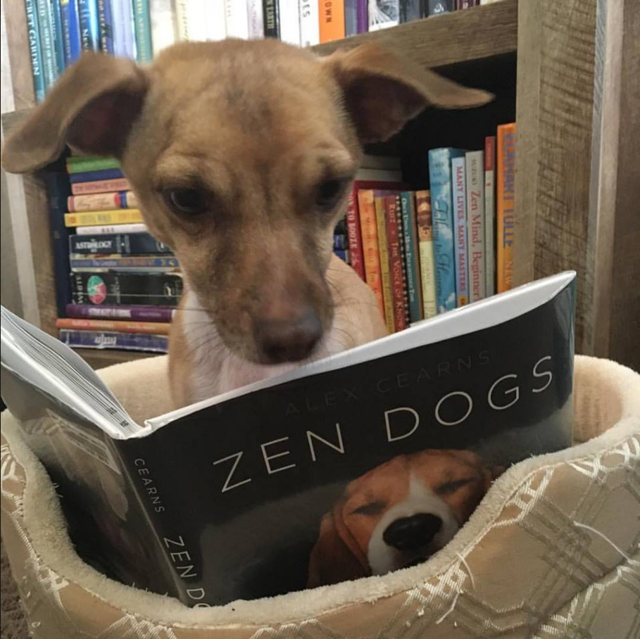 Lackadaisical Librarian