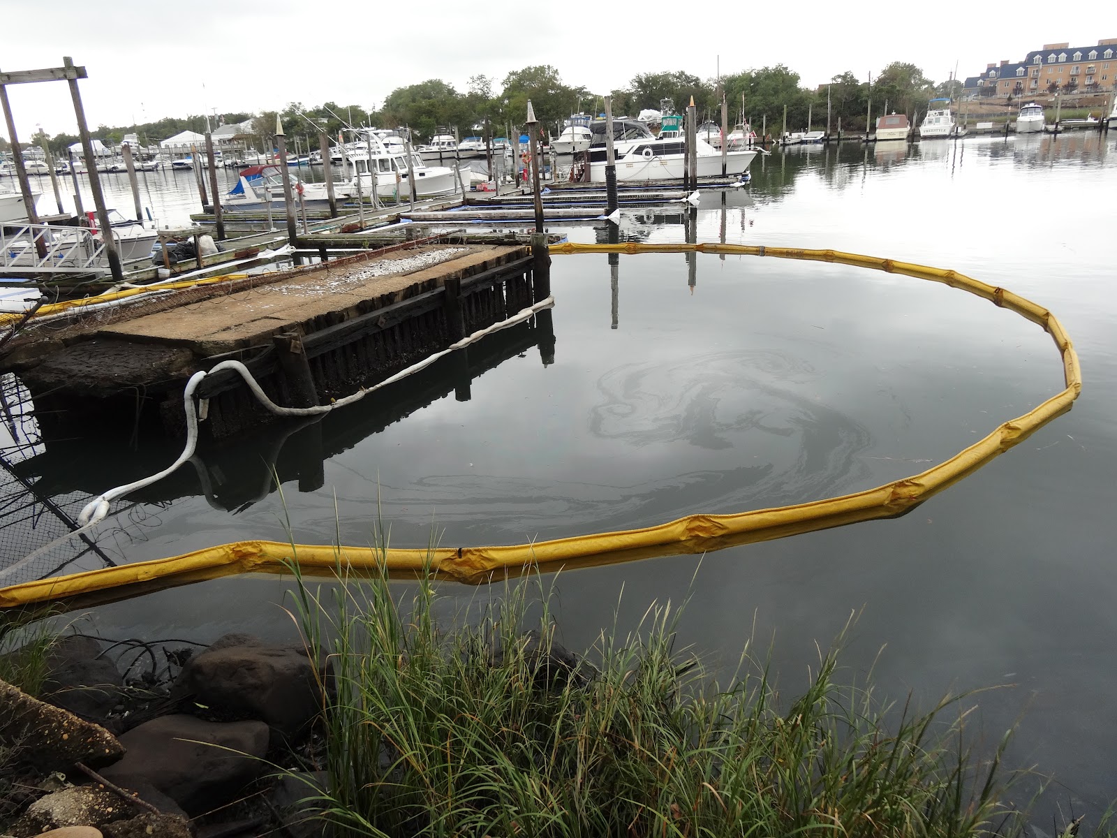 A Walk in the Park Oil Released Into Jamaica Bay